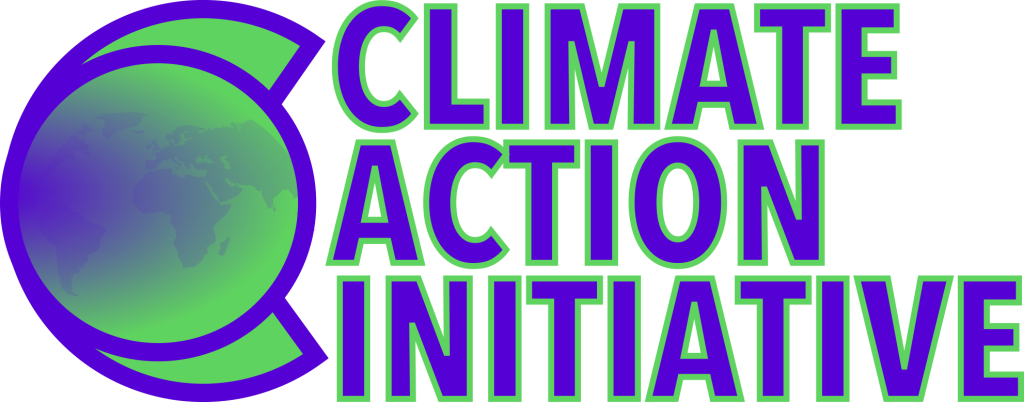Climate Action Initiative South Africa